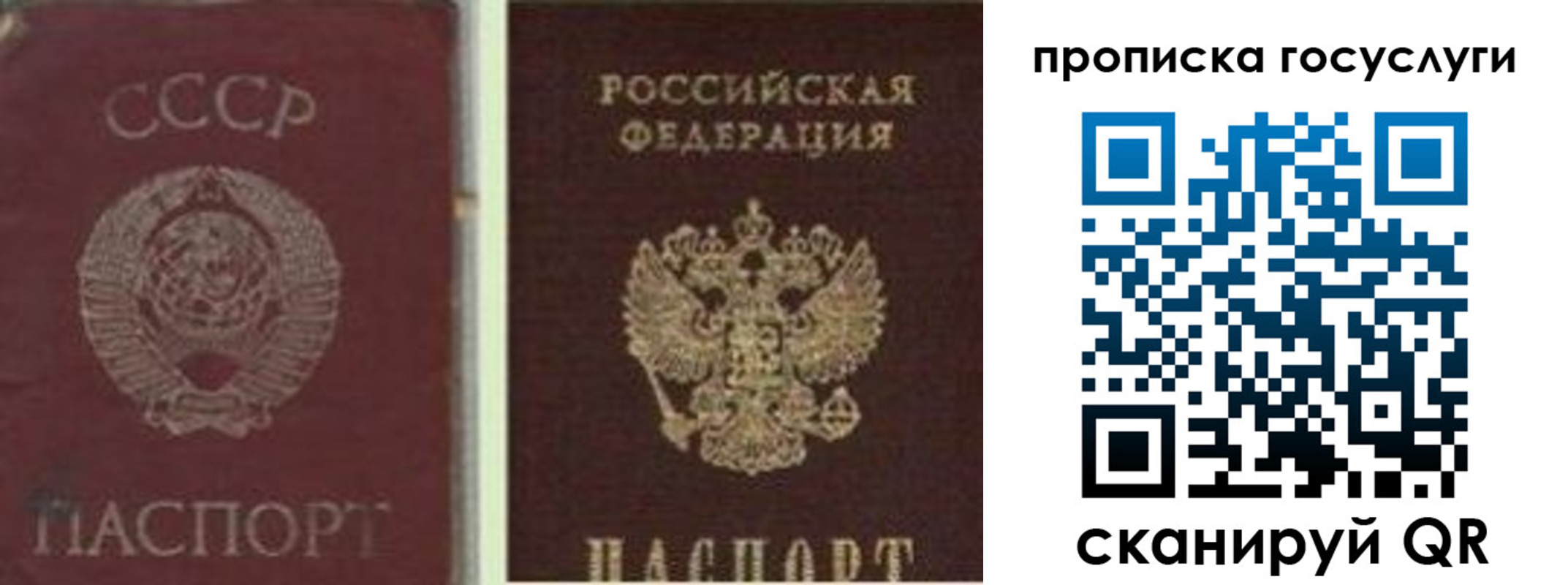 временная регистрация 2025 в Скопине